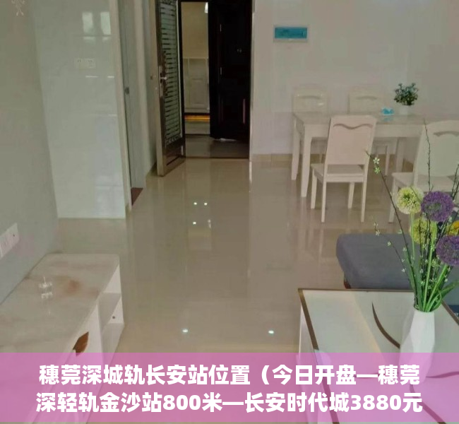 穗莞深城轨长安站位置（今日开盘—穗莞深轻轨金沙站800米—长安时代城3880元起的房子）