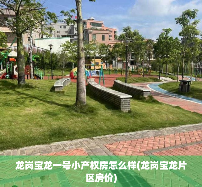 龙岗宝龙一号小产权房怎么样(龙岗宝龙片区房价) 龙岗宝龙一号小产权房怎么样(龙岗宝龙片区房价)