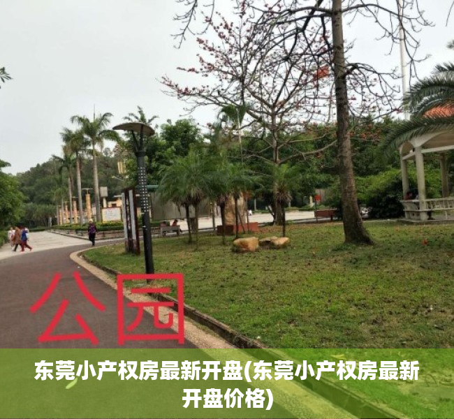 东莞小产权房最新开盘(东莞小产权房最新开盘价格) 东莞小产权房最新开盘(东莞小产权房最新开盘价格)
