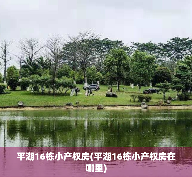 平湖16栋小产权房(平湖16栋小产权房在哪里) 平湖16栋小产权房(平湖16栋小产权房在哪里)