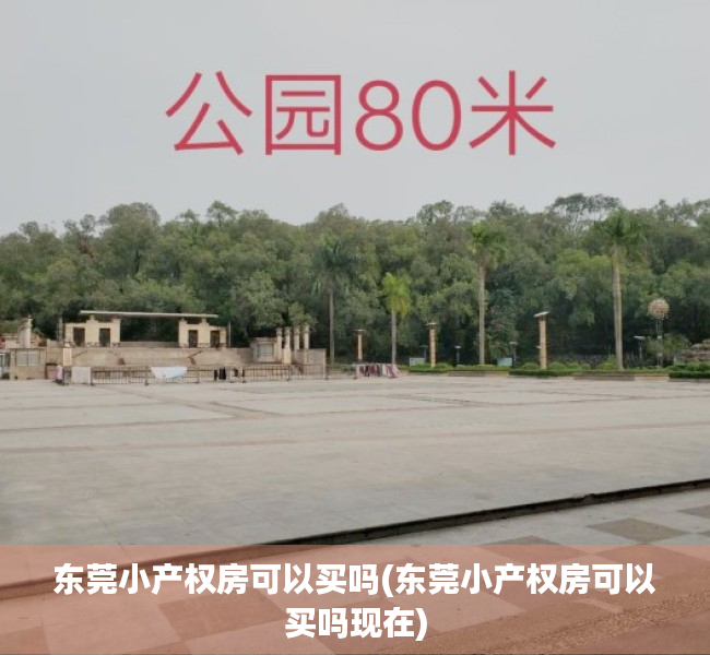 东莞小产权房可以买吗(东莞小产权房可以买吗现在) 东莞小产权房可以买吗(东莞小产权房可以买吗现在)