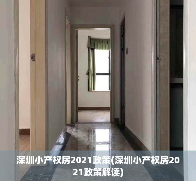 深圳小产权房2021政策(深圳小产权房2021政策解读)