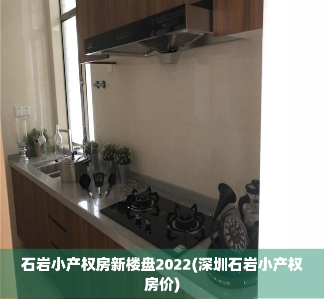 石岩小产权房新楼盘2022(深圳石岩小产权房价) 石岩小产权房新楼盘2022(深圳石岩小产权房价)