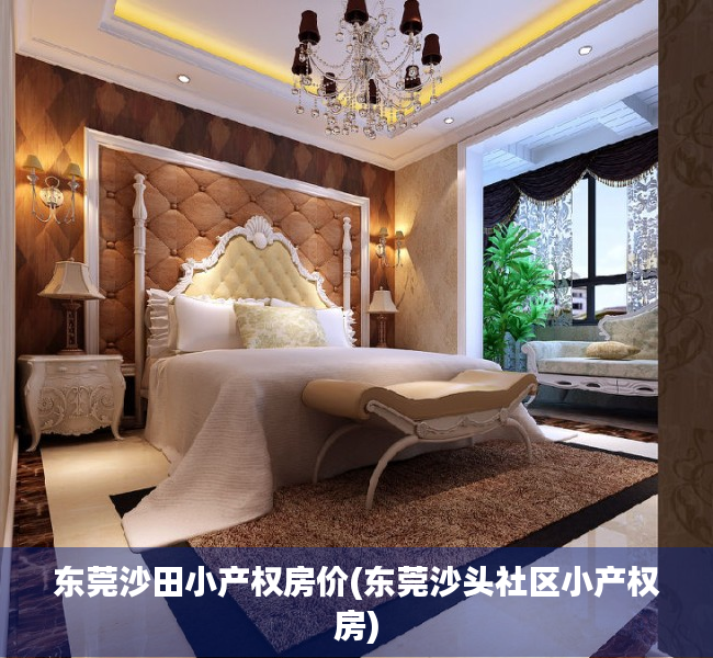 东莞沙田小产权房价(东莞沙头社区小产权房)
