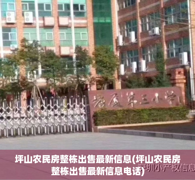 坪山农民房整栋出售最新信息(坪山农民房整栋出售最新信息电话)