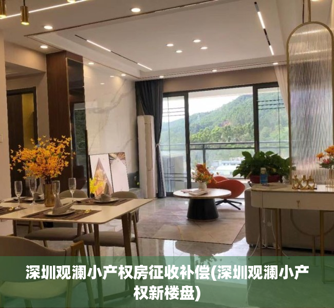 深圳观澜小产权房征收补偿(深圳观澜小产权新楼盘)