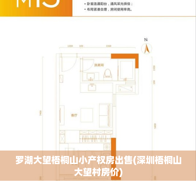 罗湖大望梧桐山小产权房出售(深圳梧桐山大望村房价)