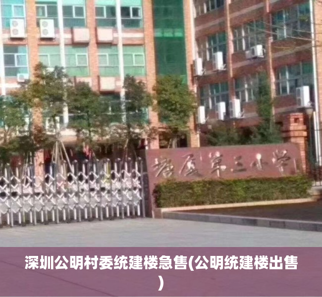 深圳公明村委统建楼急售(公明统建楼出售) 深圳公明村委统建楼急售(公明统建楼出售)