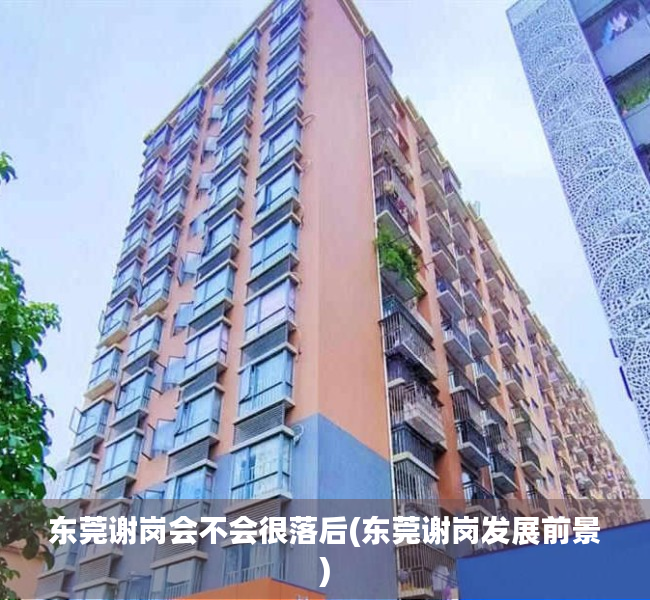 东莞谢岗会不会很落后(东莞谢岗发展前景) 东莞谢岗会不会很落后(东莞谢岗发展前景)