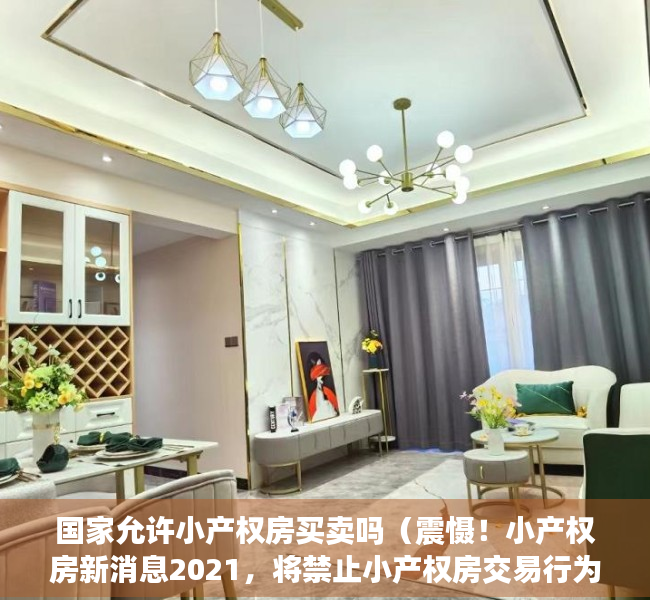 国家允许小产权房买卖吗（震慑！小产权房新消息2021，将禁止小产权房交易行为？）