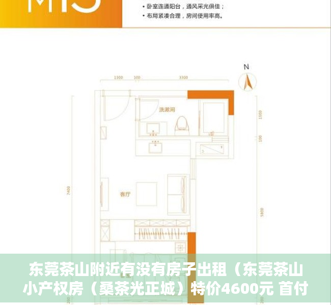 东莞茶山附近有没有房子出租（东莞茶山小产权房（桑茶光正城）特价4600元 首付4成分期5年）