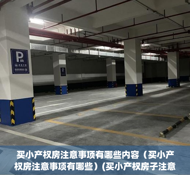 买小产权房注意事项有哪些内容（买小产权房注意事项有哪些）(买小产权房子注意事项)