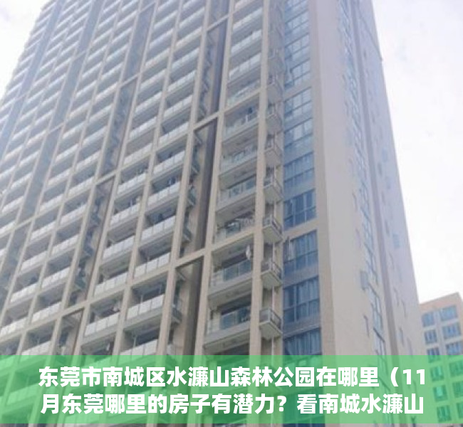 东莞市南城区水濂山森林公园在哪里（11月东莞哪里的房子有潜力？看南城水濂山房价走势）