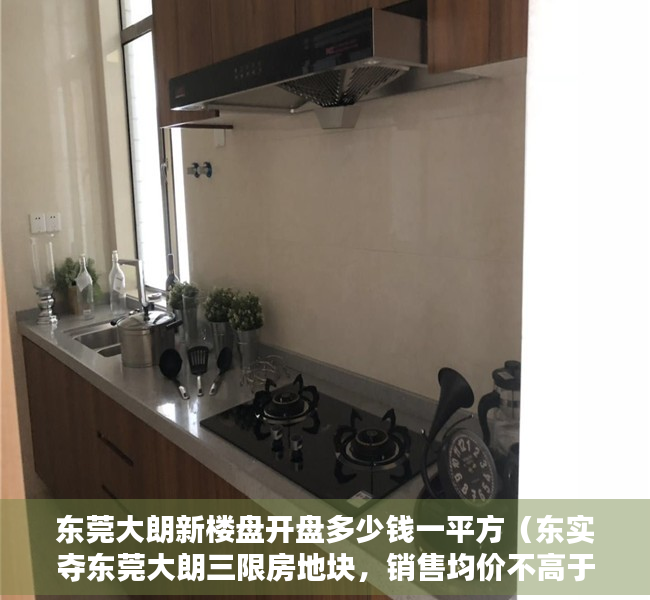 东莞大朗新楼盘开盘多少钱一平方（东实夺东莞大朗三限房地块，销售均价不高于31232元㎡）
