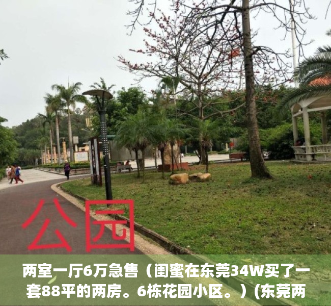 两室一厅6万急售（闺蜜在东莞34W买了一套88平的两房。6栋花园小区。）(东莞两室一厅全款大概多少钱)