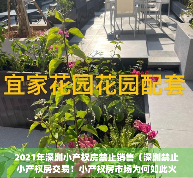 2021年深圳小产权房禁止销售（深圳禁止小产权房交易！小产权房市场为何如此火热？）