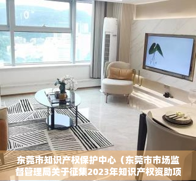 东莞市知识产权保护中心（东莞市市场监督管理局关于征集2023年知识产权资助项目申报通知）