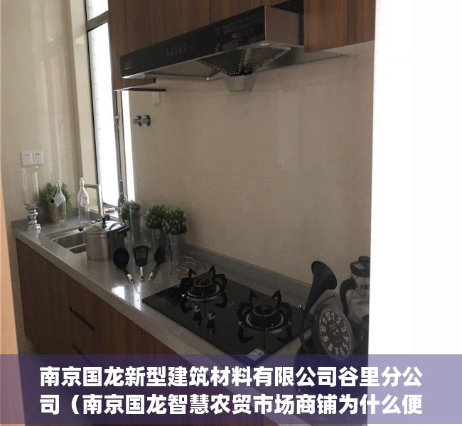 南京国龙新型建筑材料有限公司谷里分公司（南京国龙智慧农贸市场商铺为什么便宜？到底能不能买？）