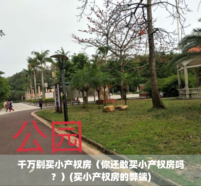 千万别买小产权房（你还敢买小产权房吗？）(买小产权房的弊端)