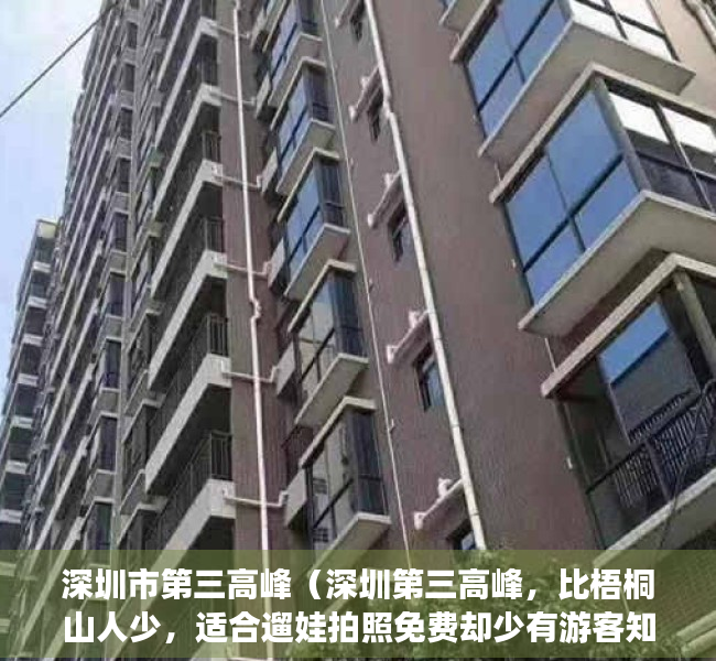 深圳市第三高峰（深圳第三高峰，比梧桐山人少，适合遛娃拍照免费却少有游客知！）