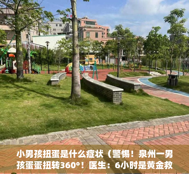 小男孩扭蛋是什么症状（警惕！泉州一男孩蛋蛋扭转360°！医生：6小时是黄金救援时间）