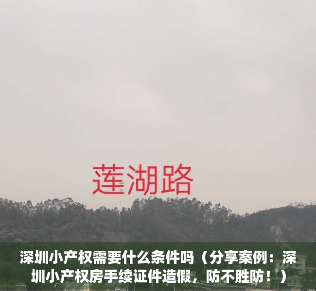 深圳小产权需要什么条件吗（分享案例：深圳小产权房手续证件造假，防不胜防！）