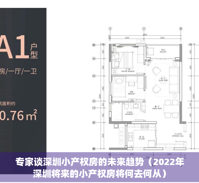 专家谈深圳小产权房的未来趋势（2022年深圳将来的小产权房将何去何从）
