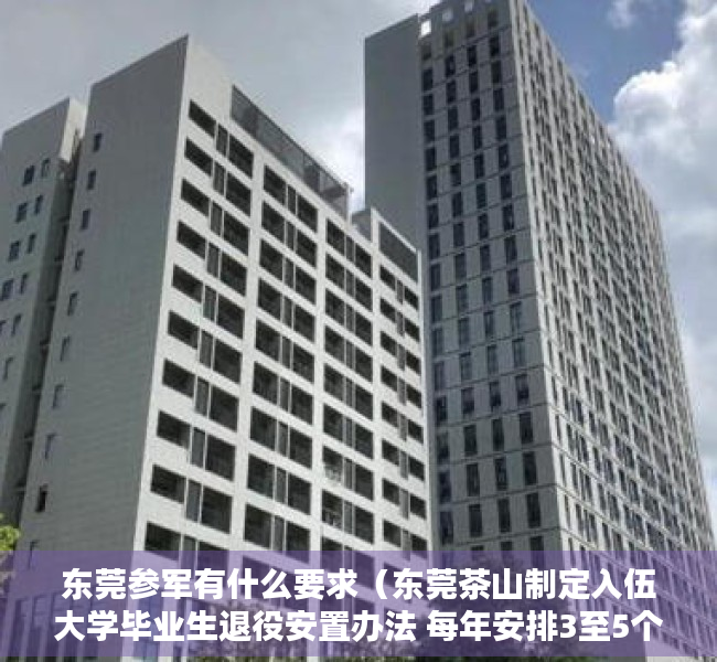 东莞参军有什么要求（东莞茶山制定入伍大学毕业生退役安置办法 每年安排3至5个政府岗位）