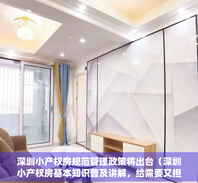 深圳小产权房规范管理政策将出台（深圳小产权房基本知识普及讲解，给需要又担心的你一个答案）