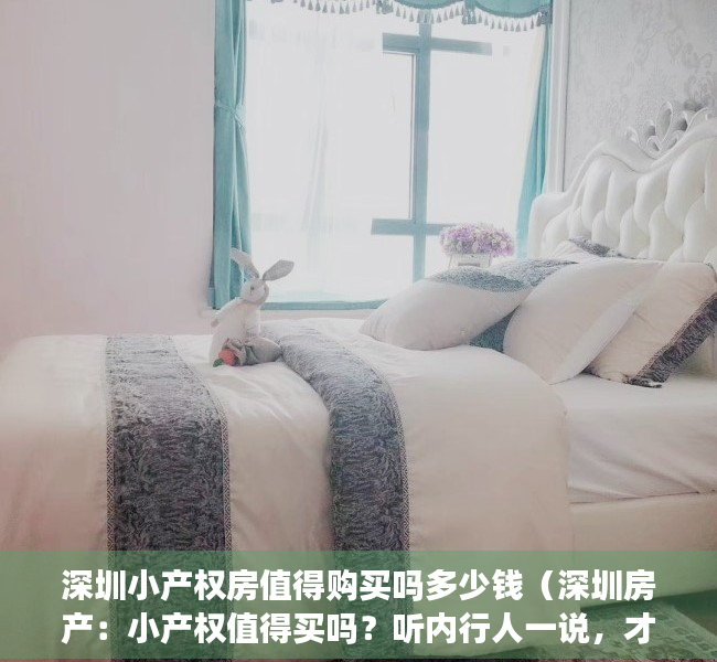 深圳小产权房值得购买吗多少钱（深圳房产：小产权值得买吗？听内行人一说，才知道有这个问题）