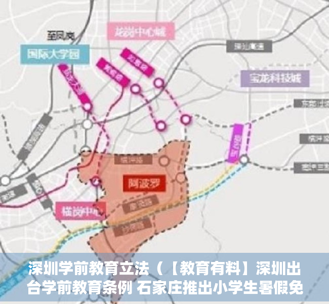 深圳学前教育立法（【教育有料】深圳出台学前教育条例 石家庄推出小学生暑假免费托管服务）