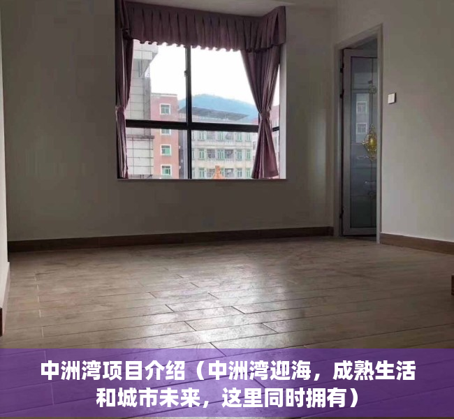 中洲湾项目介绍（中洲湾迎海，成熟生活和城市未来，这里同时拥有）