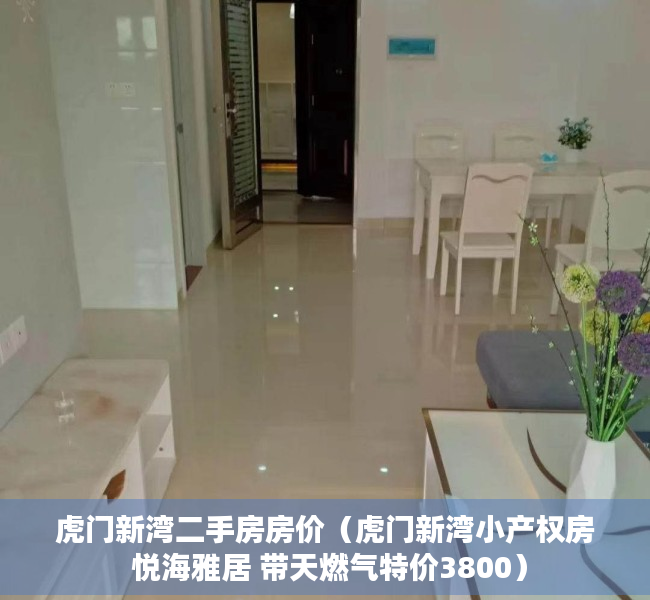 虎门新湾二手房房价（虎门新湾小产权房 悦海雅居 带天燃气特价3800）