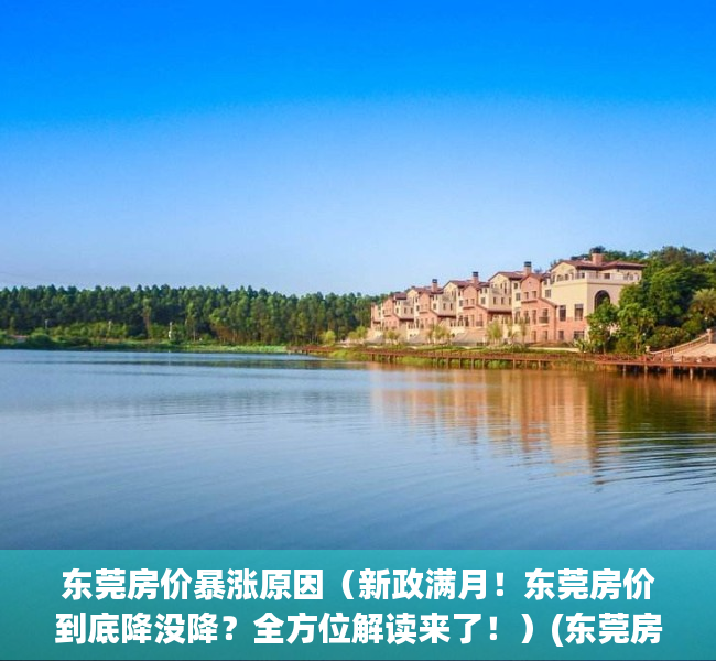 东莞房价暴涨原因（新政满月！东莞房价到底降没降？全方位解读来了！）(东莞房价涨疯了)