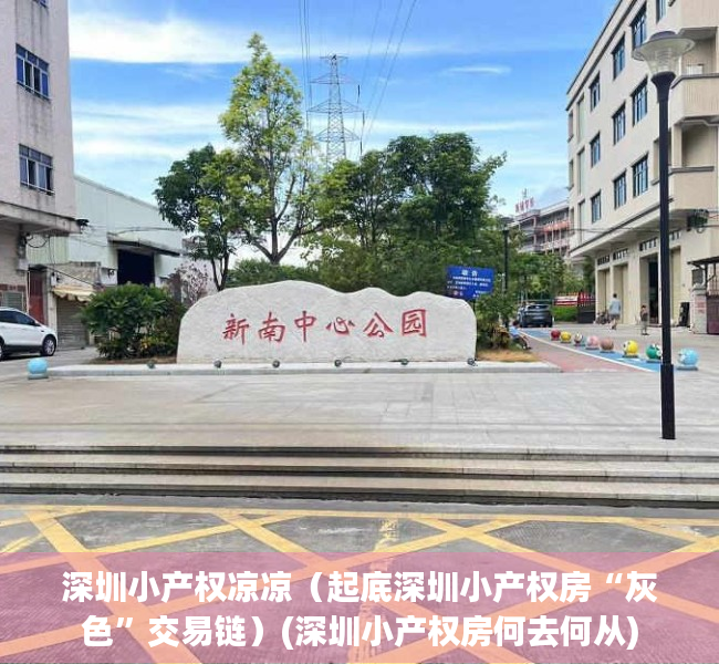 深圳小产权凉凉（起底深圳小产权房“灰色”交易链）(深圳小产权房何去何从)