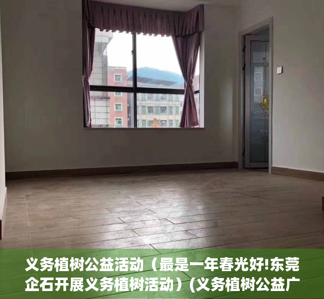 义务植树公益活动（最是一年春光好!东莞企石开展义务植树活动）(义务植树公益广告词)