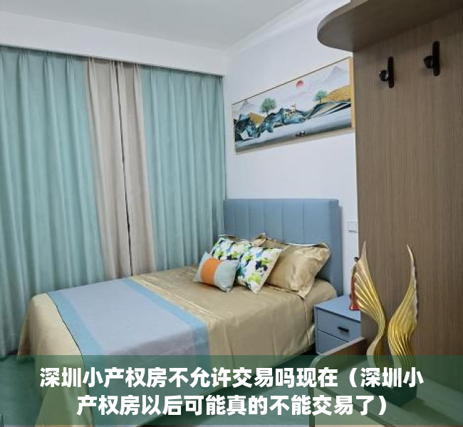 深圳小产权房不允许交易吗现在（深圳小产权房以后可能真的不能交易了）