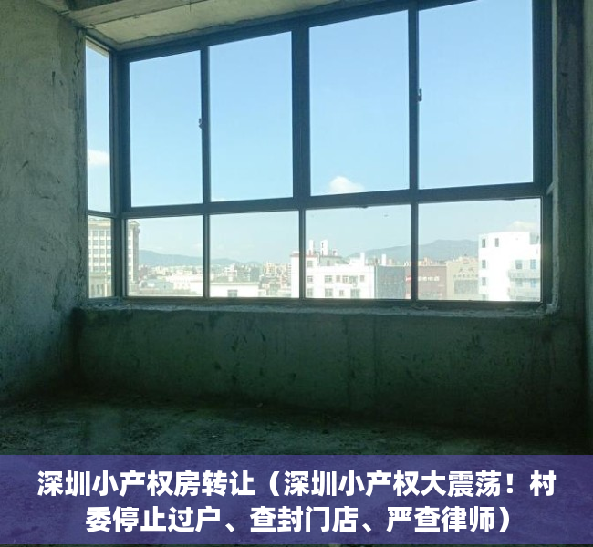 深圳小产权房转让（深圳小产权大震荡！村委停止过户、查封门店、严查律师）