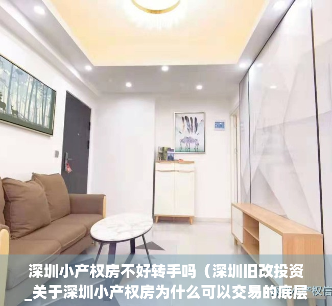 深圳小产权房不好转手吗（深圳旧改投资_关于深圳小产权房为什么可以交易的底层逻辑）