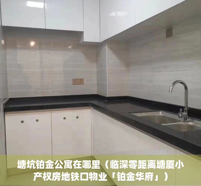 塘坑铂金公寓在哪里（临深零距离塘厦小产权房地铁口物业「铂金华府」）