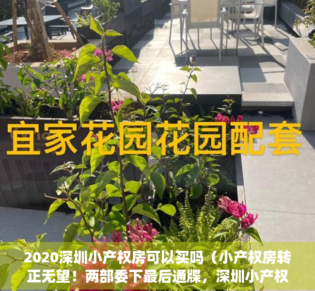 2020深圳小产权房可以买吗（小产权房转正无望！两部委下最后通牒，深圳小产权房还能买吗）