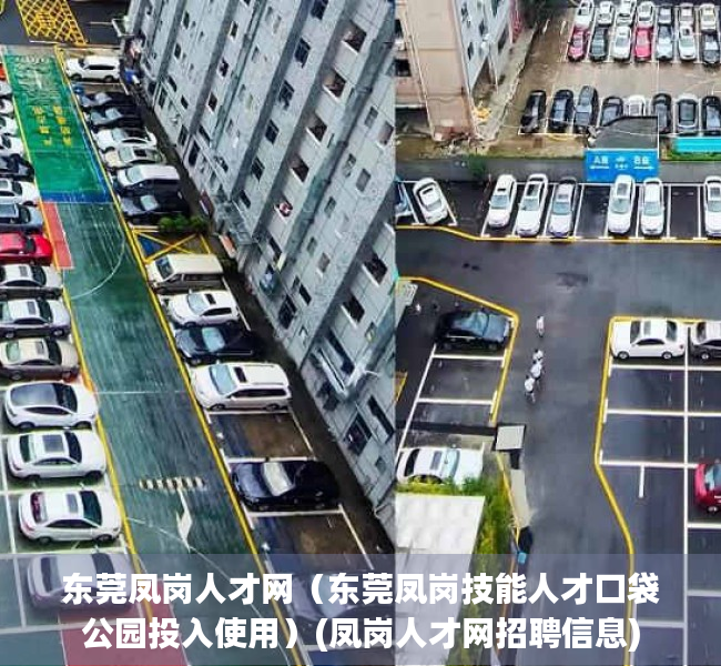 东莞凤岗人才网（东莞凤岗技能人才口袋公园投入使用）(凤岗人才网招聘信息)