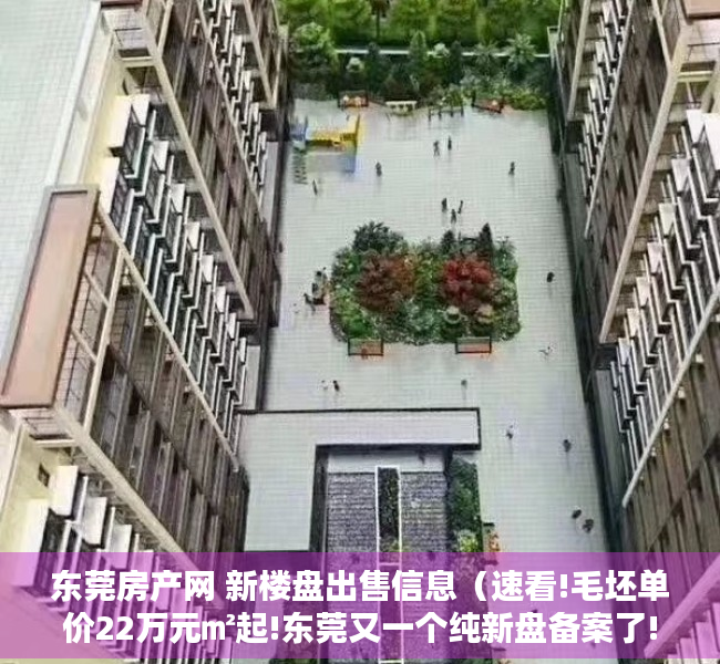 东莞房产网 新楼盘出售信息（速看!毛坯单价22万元㎡起!东莞又一个纯新盘备案了!）