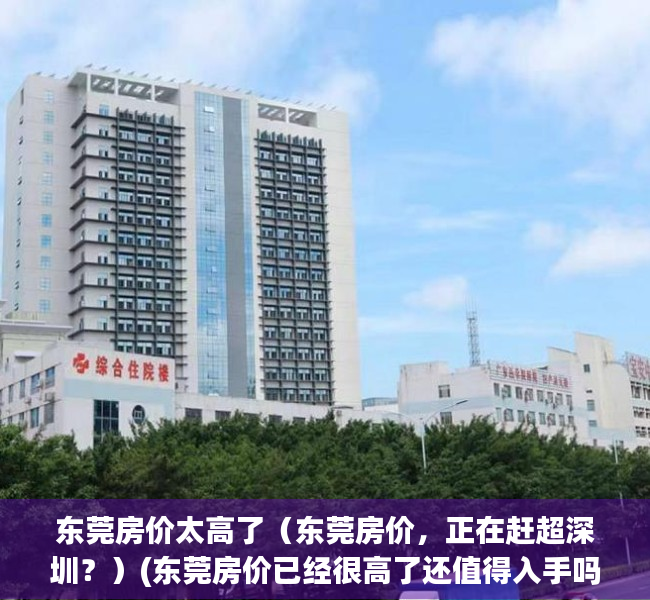 东莞房价太高了（东莞房价，正在赶超深圳？）(东莞房价已经很高了还值得入手吗)
