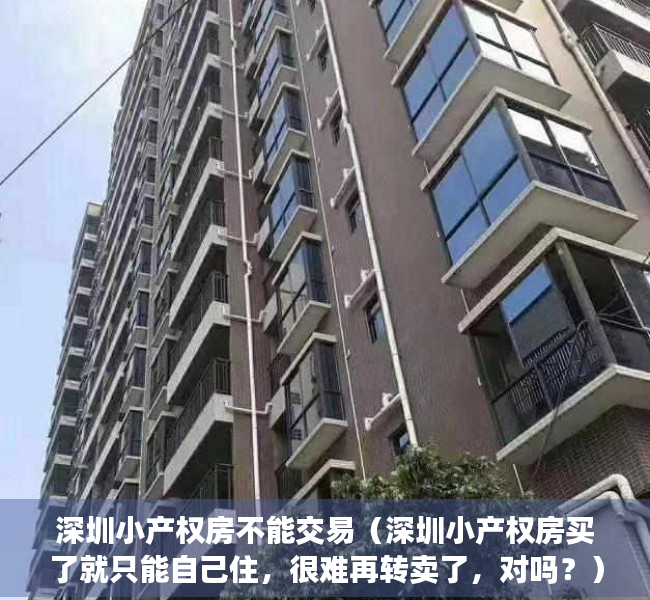 深圳小产权房不能交易（深圳小产权房买了就只能自己住，很难再转卖了，对吗？）