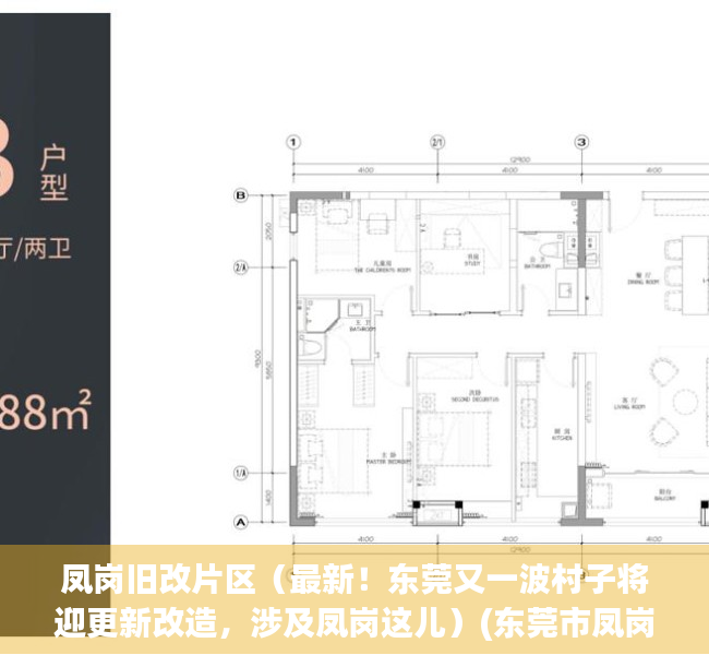 凤岗旧改片区（最新！东莞又一波村子将迎更新改造，涉及凤岗这儿）(东莞市凤岗镇旧改项目)