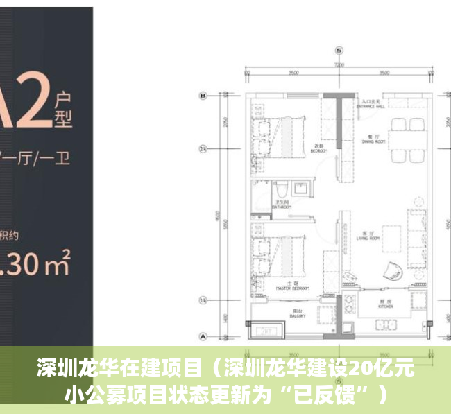 深圳龙华在建项目（深圳龙华建设20亿元小公募项目状态更新为“已反馈”）