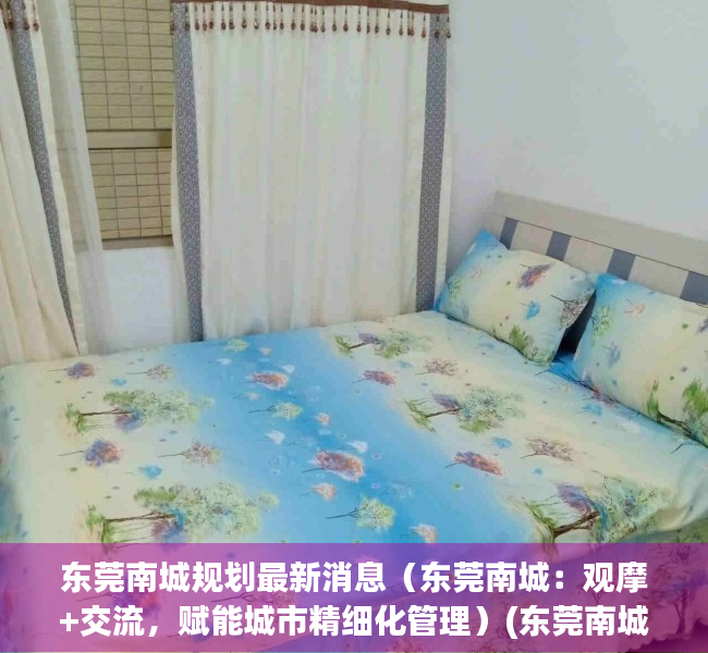 东莞南城规划最新消息（东莞南城：观摩+交流，赋能城市精细化管理）(东莞南城发展规划)
