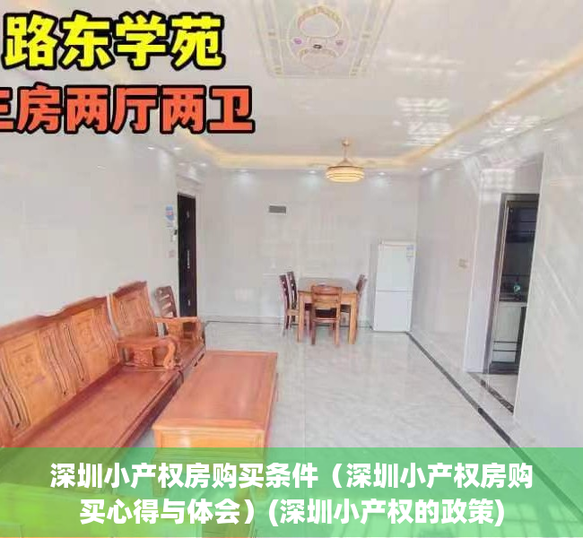 深圳小产权房购买条件（深圳小产权房购买心得与体会）(深圳小产权的政策)