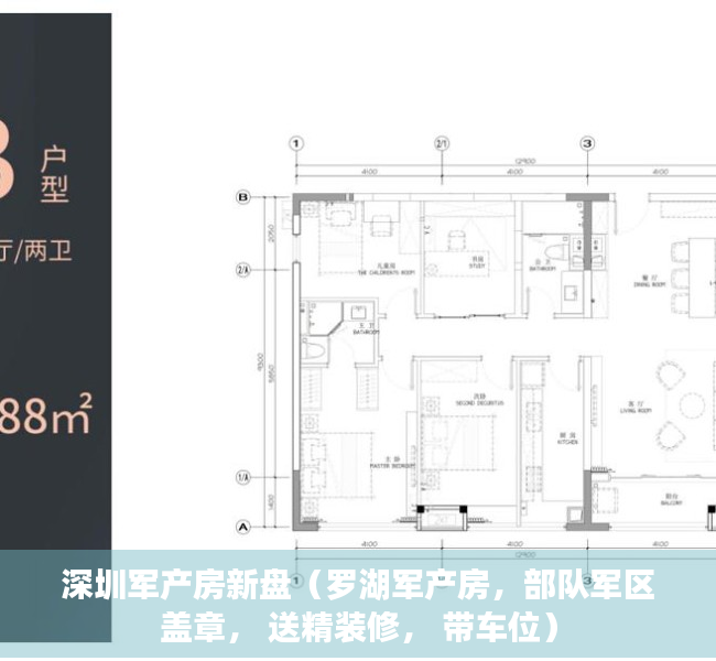 深圳军产房新盘（罗湖军产房，部队军区盖章， 送精装修， 带车位）